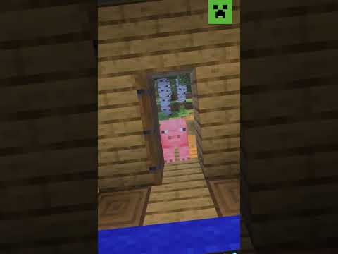 HOP ON THE SERVER….PLEASE?