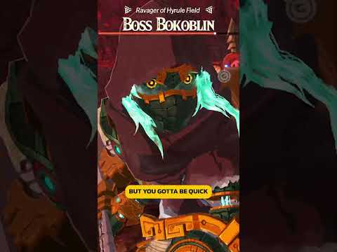 This Combo Is OP In Hyrule Warriors: Age of Imprisonment