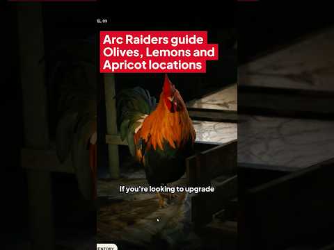 Olives, Lemons and Apricots locations in Arc Raiders guide