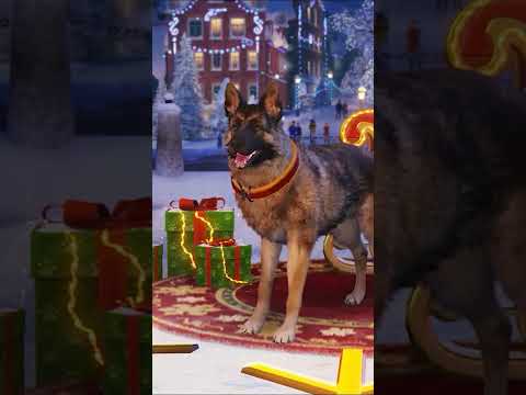 Your permanent Garage companion 🐶🐾