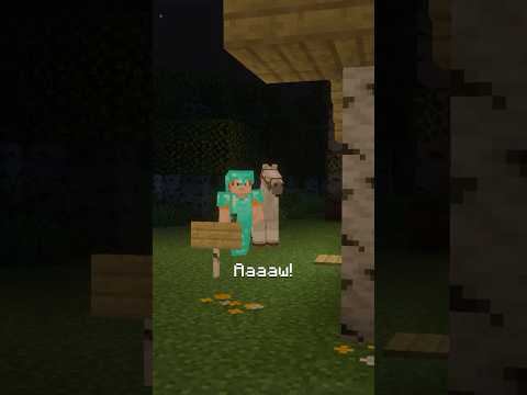 WHEN YOU FIND YOUR OLD HOUSE