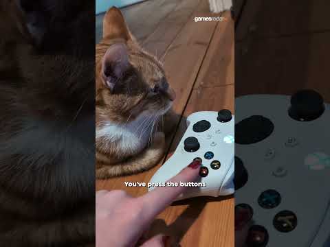 How my cat feels cheering me on vs actually playing 😭