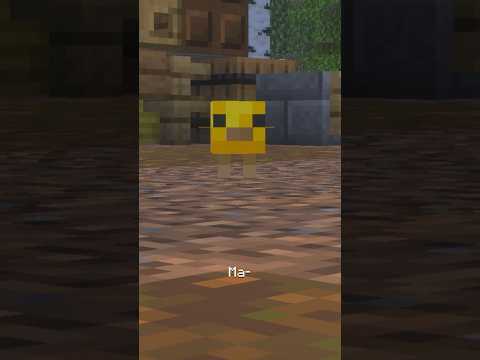 WHAT IS IT TRYING TO SAY?