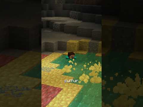 NEW CAVE BIOME ALERT!