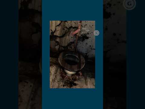 Can You Guess A Game Based On Its Toilet?