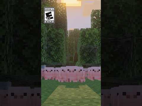 THE NEW GAME DROP HAS A NAME!