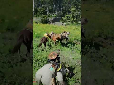 Iorek Byrnison or Crimson Desert’s new legendary mount? 🐻‍❄️