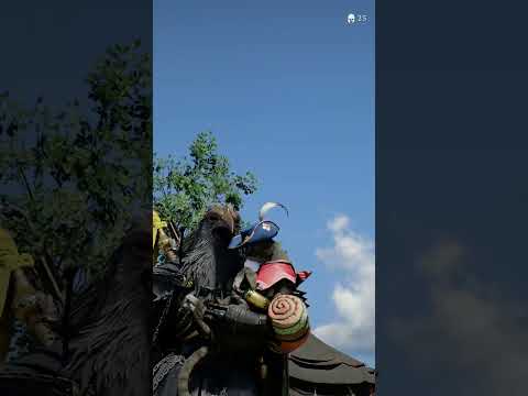 Pets can wear outfits and armour in Crimson Desert 🥹