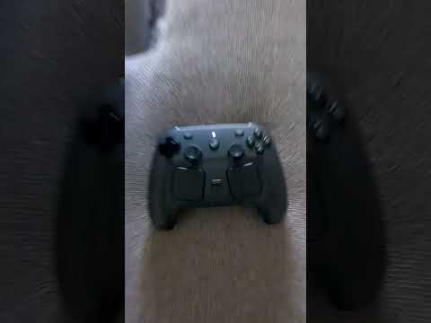 Steam Controller Easter egg: it Wilhelm screams! 🤣