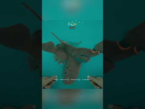 Encountering a group of Deepwing leviathans in Subnautica 2