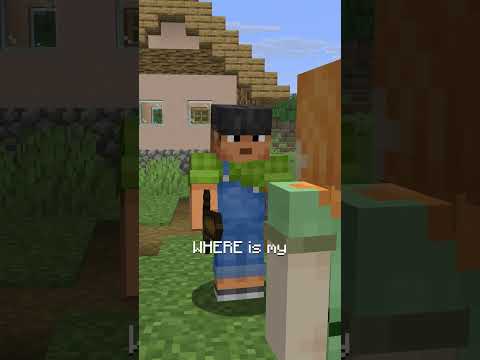 HAVE YOU SEEN MY NETHERITE HORSE ARMOR?!