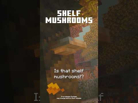 TRY NEW BIOME + NEW FEATURES!