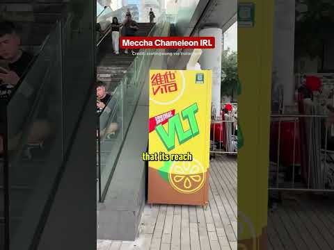 Meccha Chameleon IRL