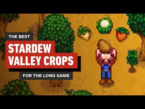 Stardew Valley Farming Guide: 4 Early Crops to Make You Rich – The Long Game