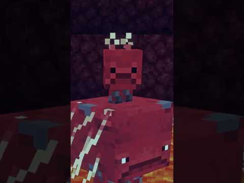 WHY ARE THEY SO SAD? :(