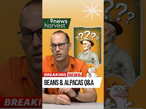 ❓ Brutal Questions about Beans & Alpacas?