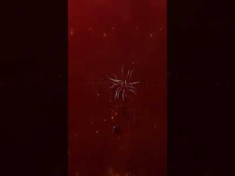 Rampant Drone Fabricator Timelapse
