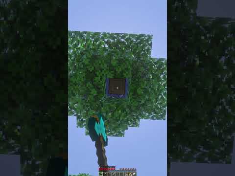 POV: YOU’RE A FLOATING TREE