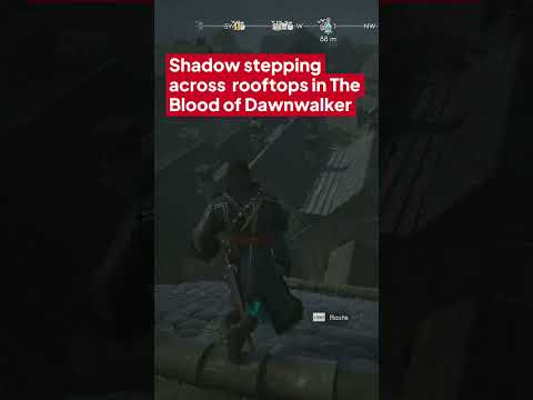The Blood of Dawnwalker shadow stepping across rooftops