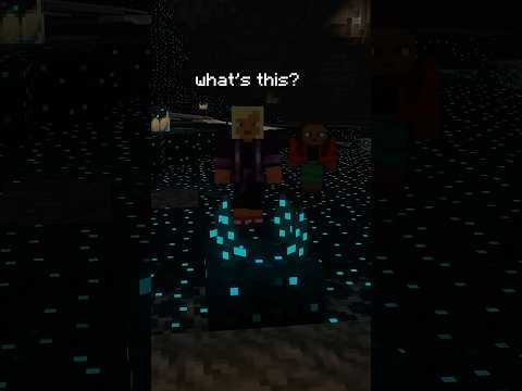 WHEN SIBLINGS PLAY MINECRAFT
