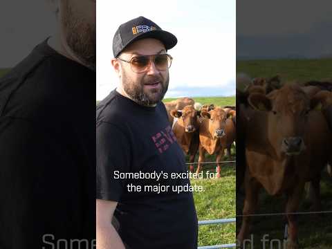 Behind the Scenes: A Cow Plays EVE Online